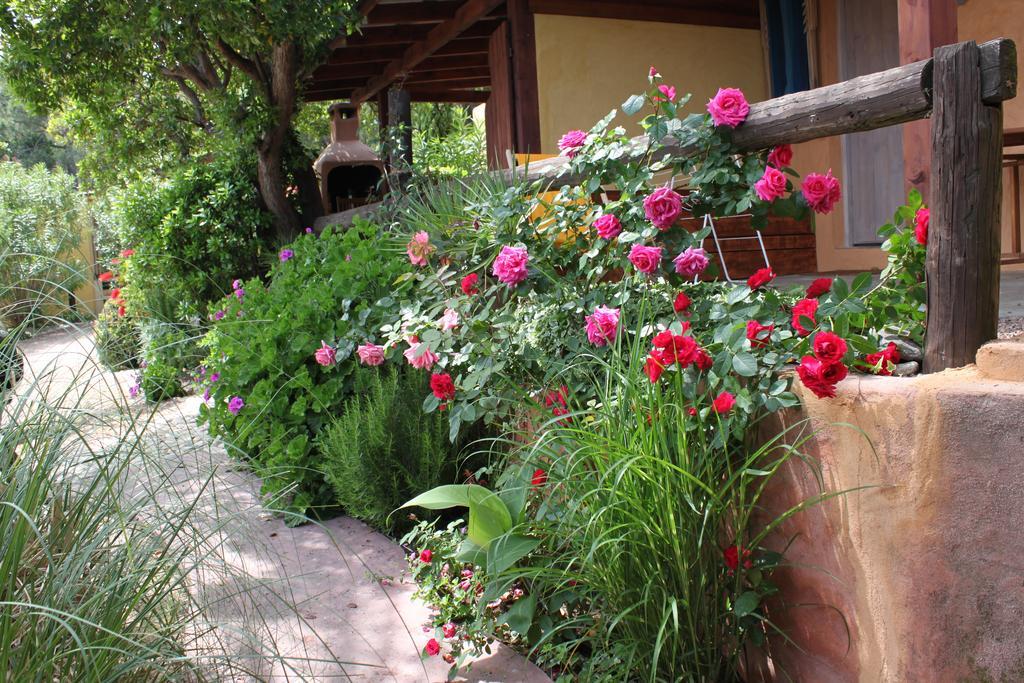 Les Bungalows De Figha Tarcu Exterior photo